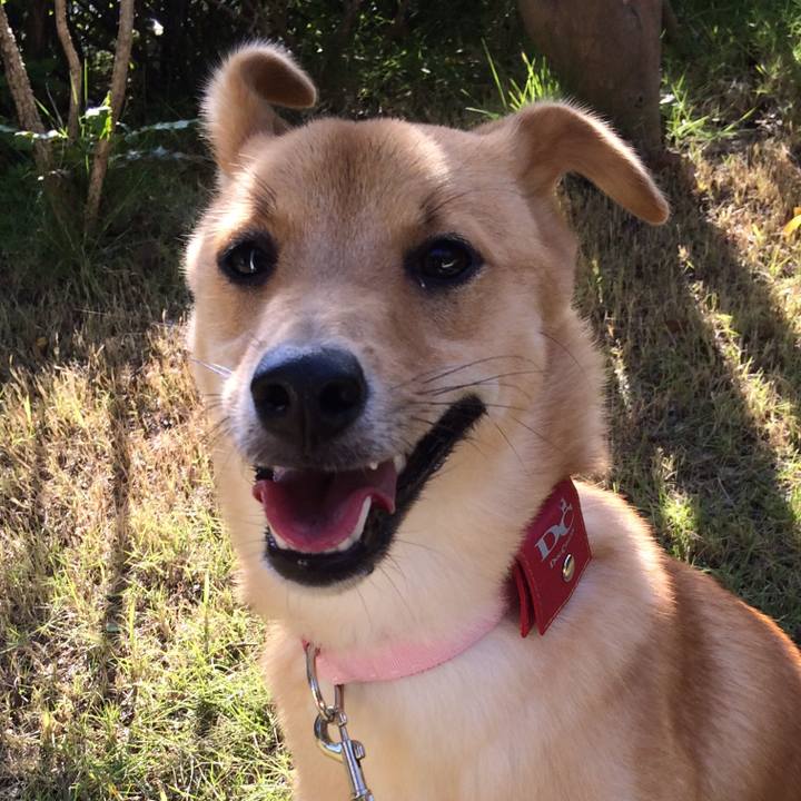 Fe4490e9 7319 40b6 b912 13fa703ca7df