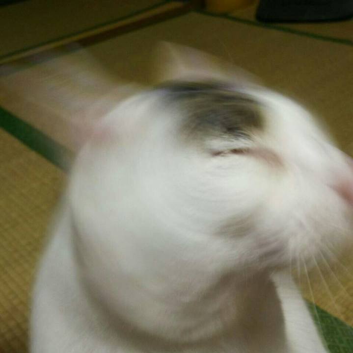 Fe44b459 13dc 4950 8e88 a5f18d33faa8