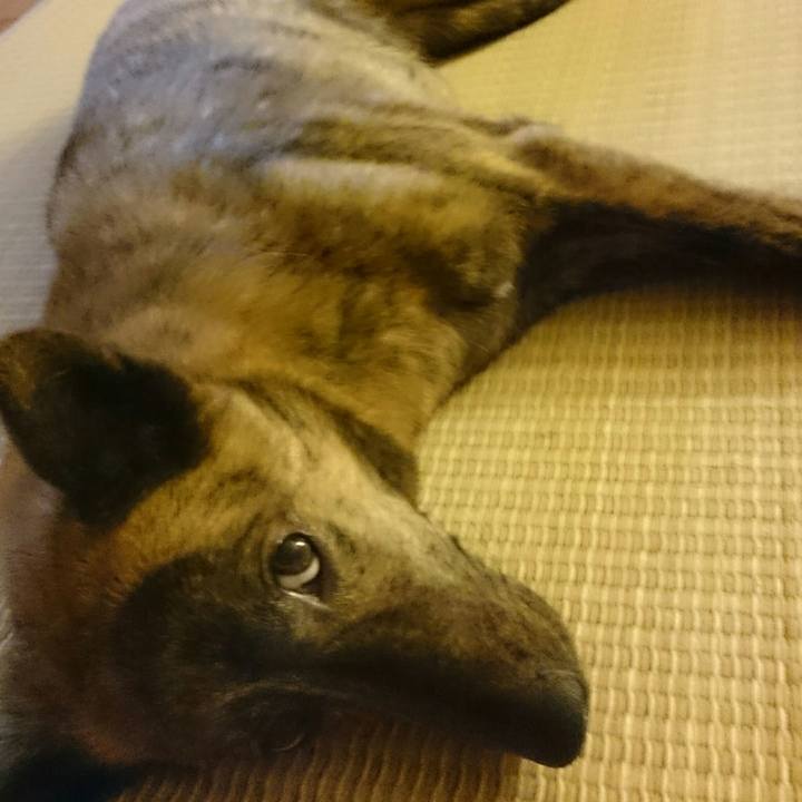 Fe44bfc4 2d68 4203 973a 605e478797e3