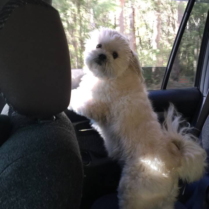 Fe44e500 c626 46c7 97a7 ac8cac8a36b1