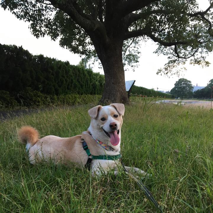 Fe45083e 1223 477a b589 bea168b332d2