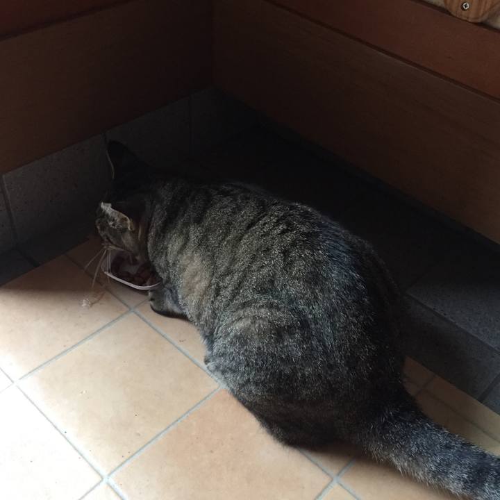 Fe45201d df76 49eb 8956 654b31c8287d