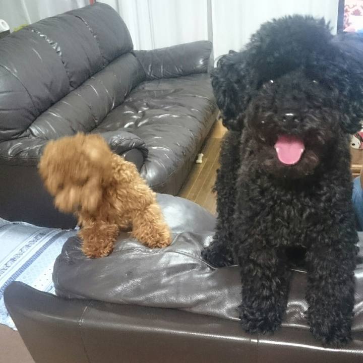 Fe4596d0 f625 404c 9ee0 98ce5675df64