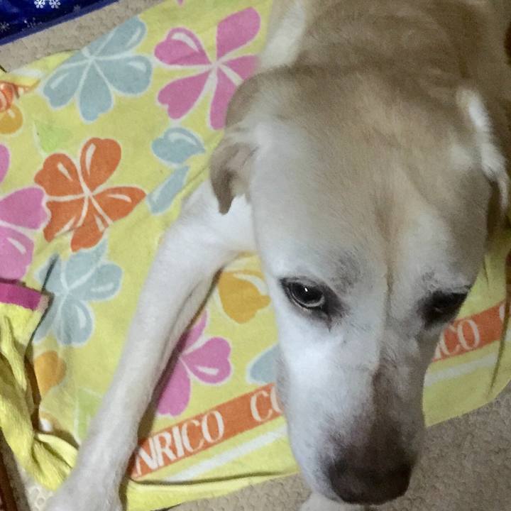 Fe4657ee b80a 4ba4 aafd 57d3ddda318a