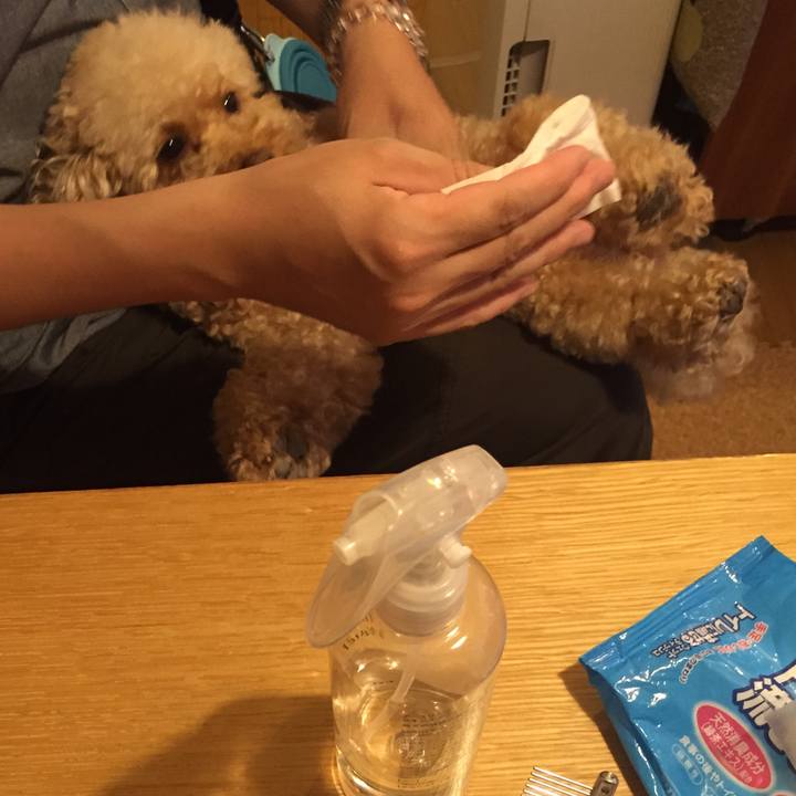 Fe4694e3 515b 4440 96d5 70baa88056d1