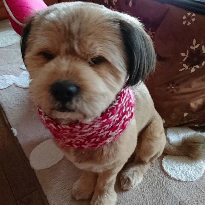 Fe46a38c 431f 4104 aa13 58604e1515c1