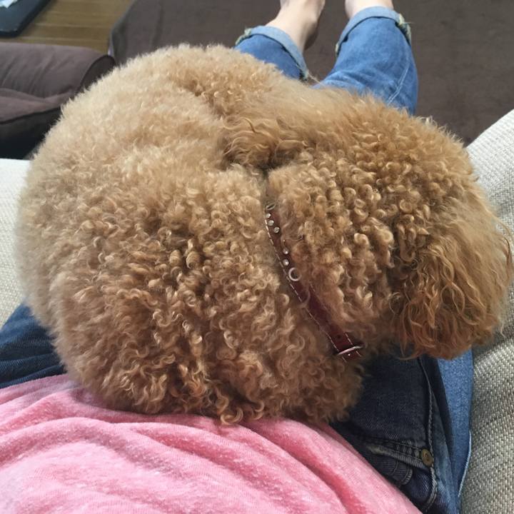 Fe46b55a 3ca7 4a17 ba72 cf4300150d52