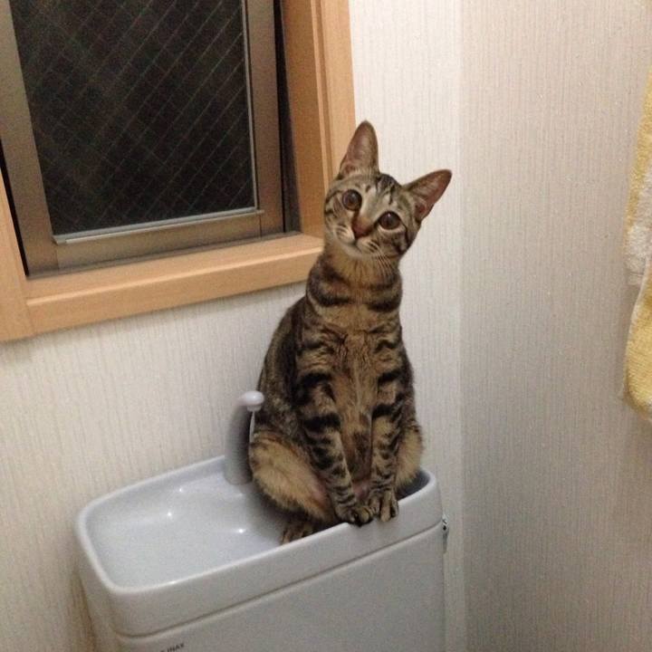 Fe46cf58 64e7 4e9d 9b3a 27a163957261