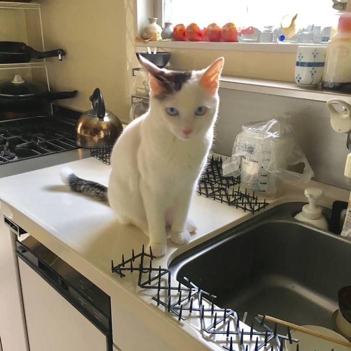 Fe46d54d e8d1 4a1e 9b90 467091e0cce2