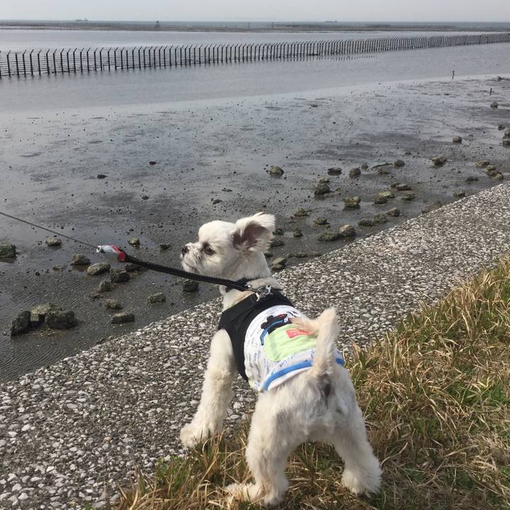 Fe471b44 3c24 4150 b8c8 1913715a586e