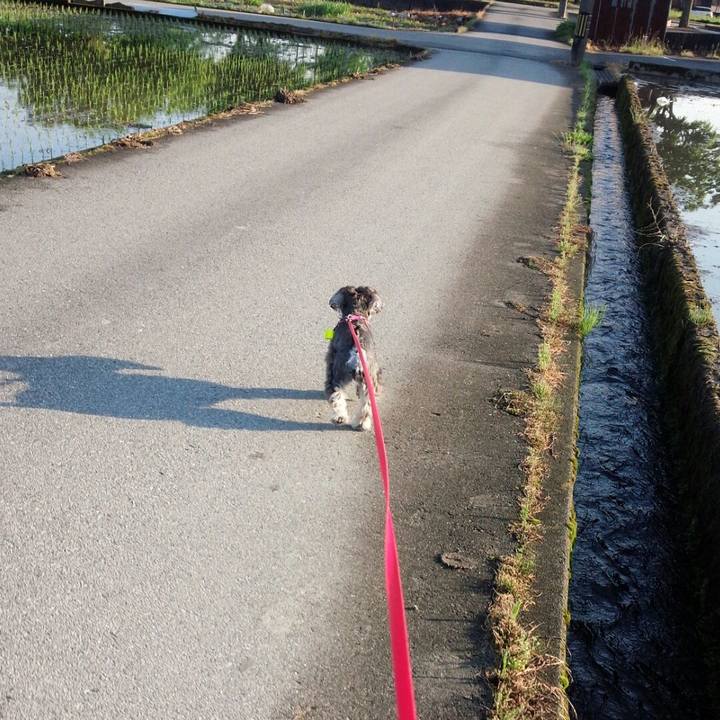 Fe47acc7 0443 4bed 9be3 042e38df2127