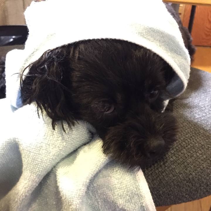 Fe48c012 43d7 4fef 9d3f 540774dbc3bf