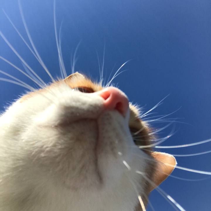 Fe49a5d7 566a 459c ac5a 3ef14406c3a1