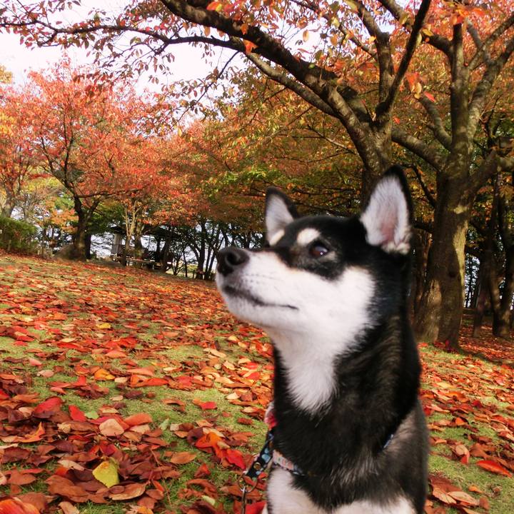 Fe4a1d60 cc61 4f47 9608 e312b4e5bd3c