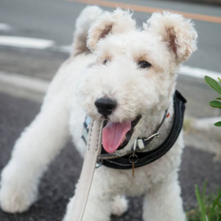 Fe4b4aa3 ebef 452a a4ae 537343d05aba