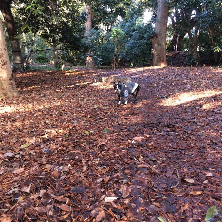 Fe4b954f 715f 423e 8f95 6499d74685bc