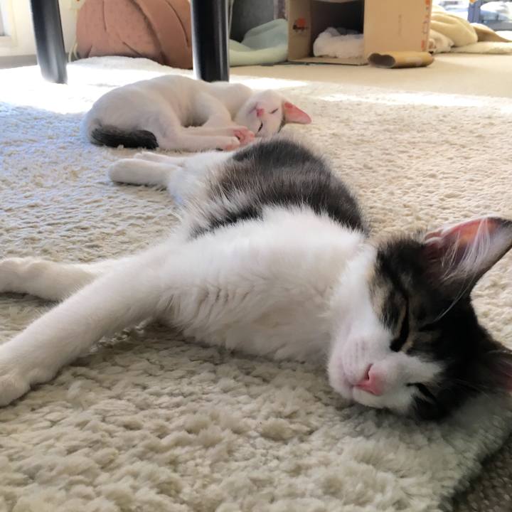 Fe4c0427 688f 45ce 8879 210384635d10