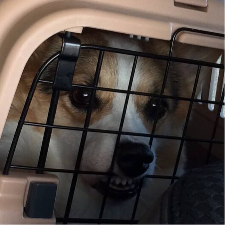 Fe4c8f71 8890 4cf2 9da5 72fe5db1cb67