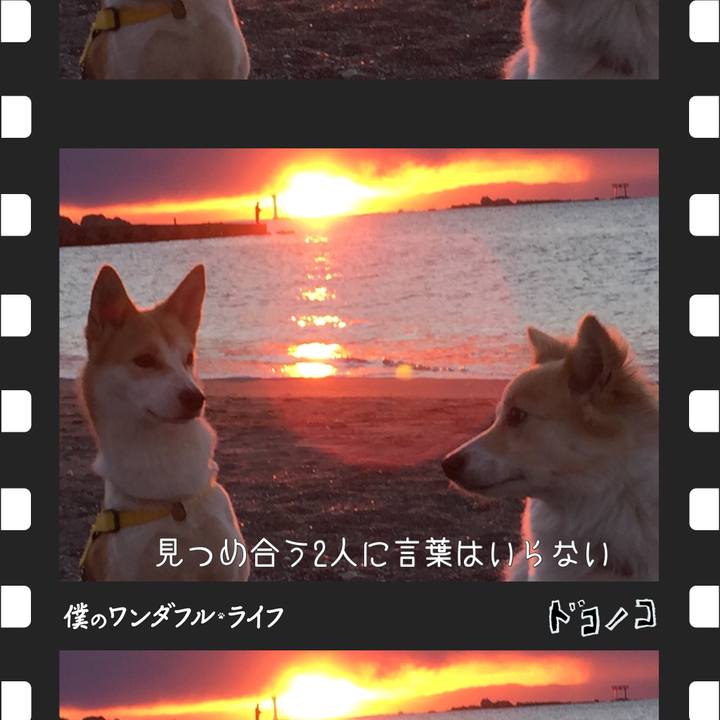 Fe4cfd79 a916 4eac a044 0c08c89a5f5d