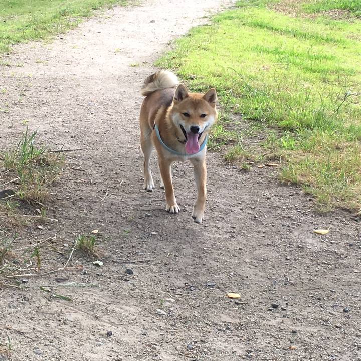 Fe4e50d3 7eca 4639 aeeb e89d55517d2c