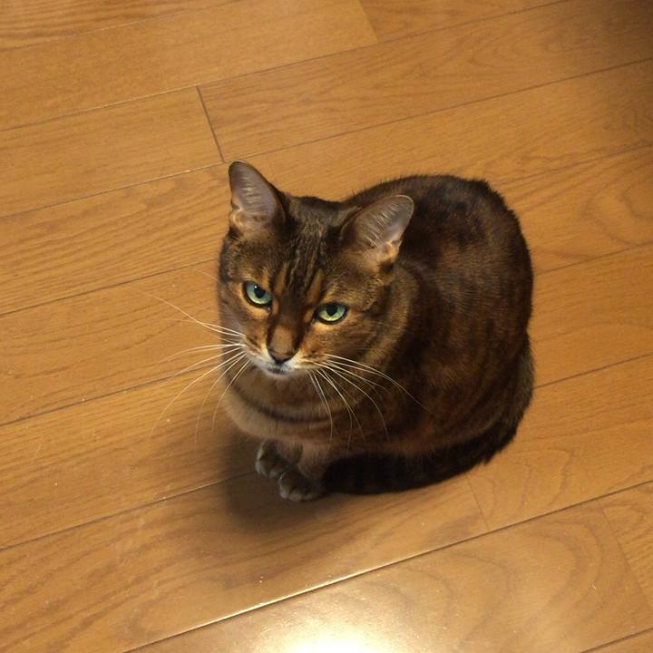 Fe4f0266 1358 4ac9 bef6 c7749cc31d9f