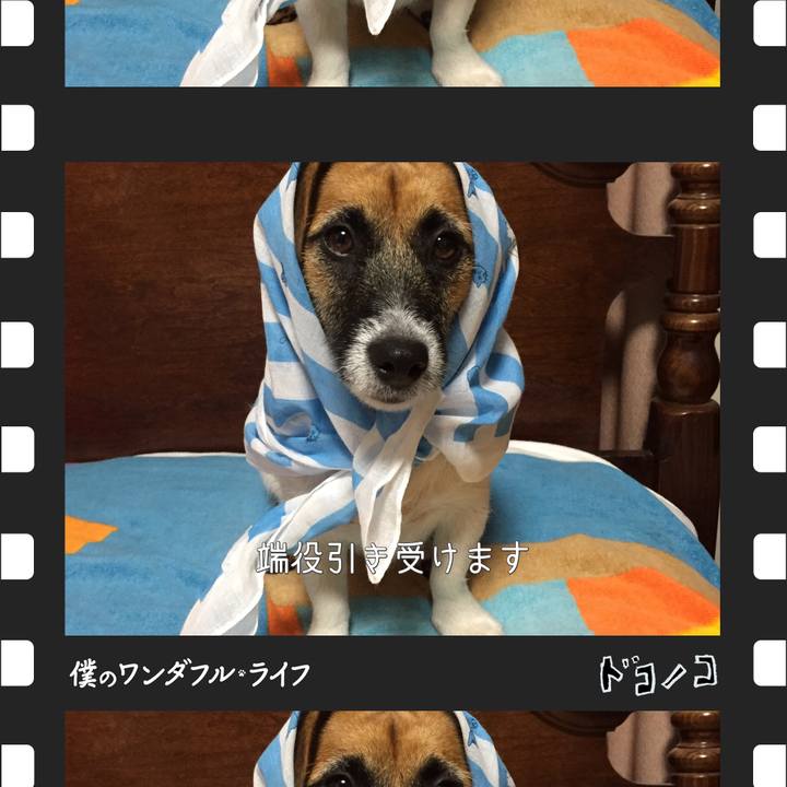 Fe4f6d18 b790 4737 8863 59c776c1cab5