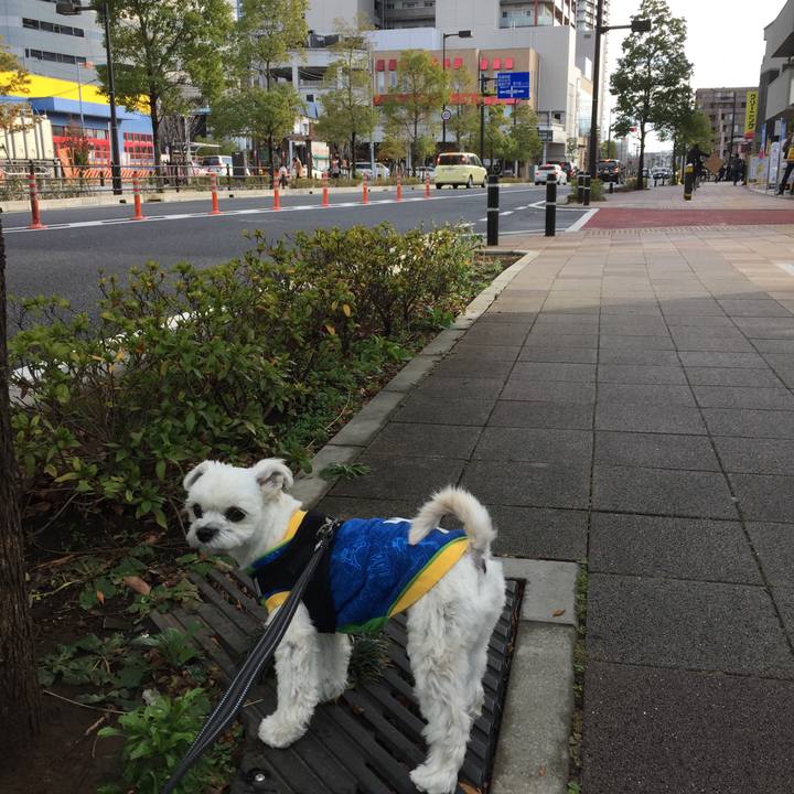 Fe503c79 d94b 46a2 8c26 e92fbe14acc6