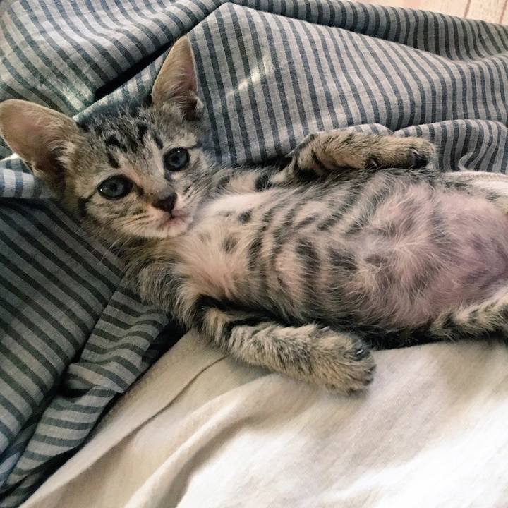 Fe510b58 0948 44e3 9e0c 3a04406c6075