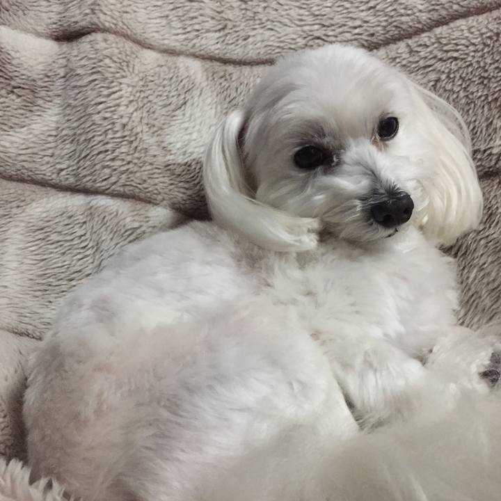 Fe51b99e 5c01 4902 aff0 a3665e9ba99a