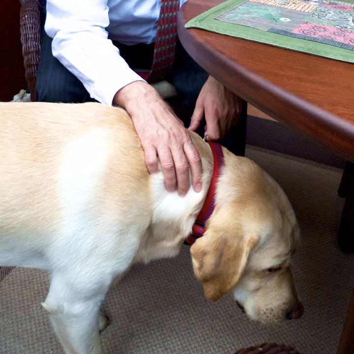 Fe51cc85 1a02 4069 8d3c 0a237c28161f