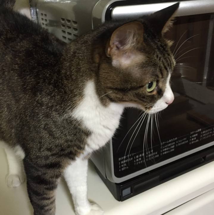 Fe52c63b edac 46fc ac93 5725ffff34d0