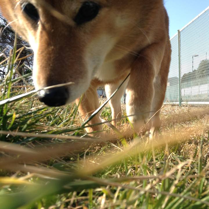 Fe52f75c d9e2 4127 b442 72a9dfe830ff