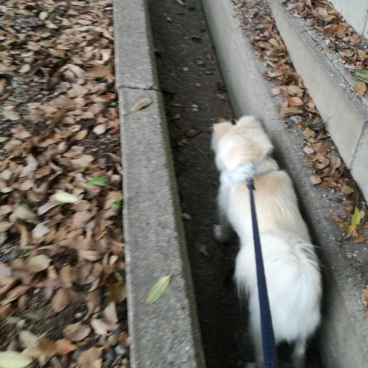 Fe5339c1 97f0 475a b2a0 f6b6fe577d6f