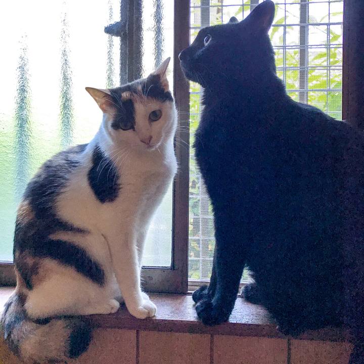 Fe53892b 9d15 4263 bb0d cd2b3ef25b68