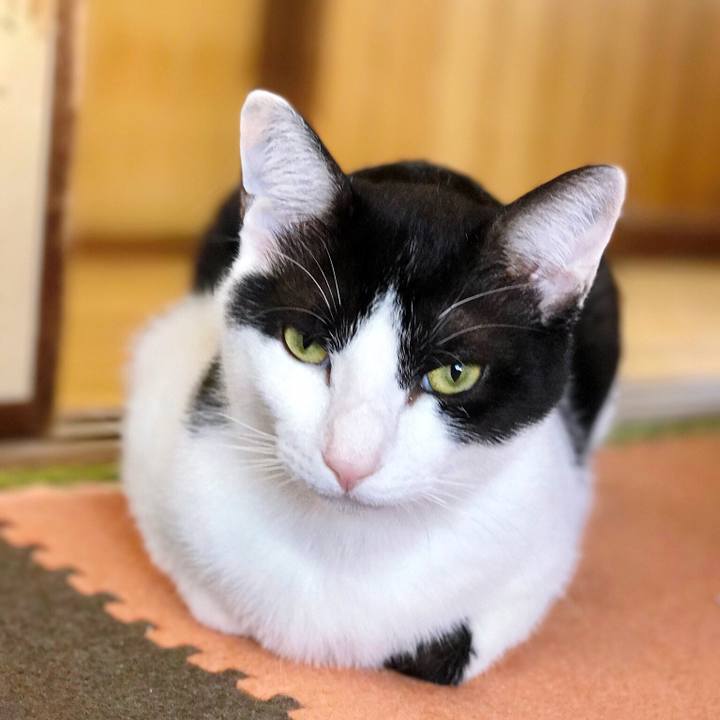 Fe556511 3521 46a4 b8e2 685919c8699d