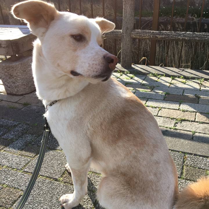 Fe55ed2b 611d 48b6 8cb0 f48405f27a22