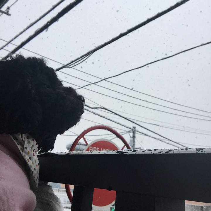 Fe56040f d5cf 4d76 adcd 5976517e51ff