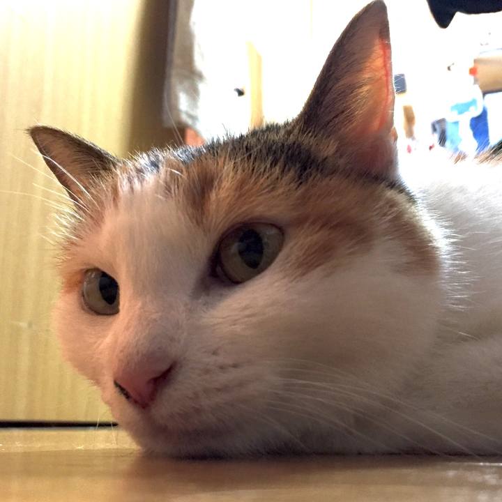 Fe560e5d d235 4758 994a 5706d3a1d096