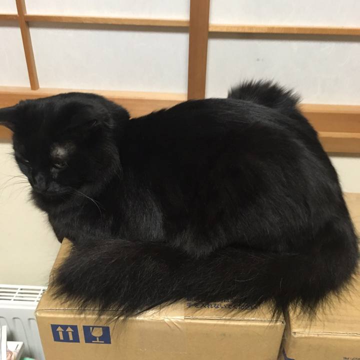 Fe565116 fac2 4e02 ace5 cffdb6443d7c