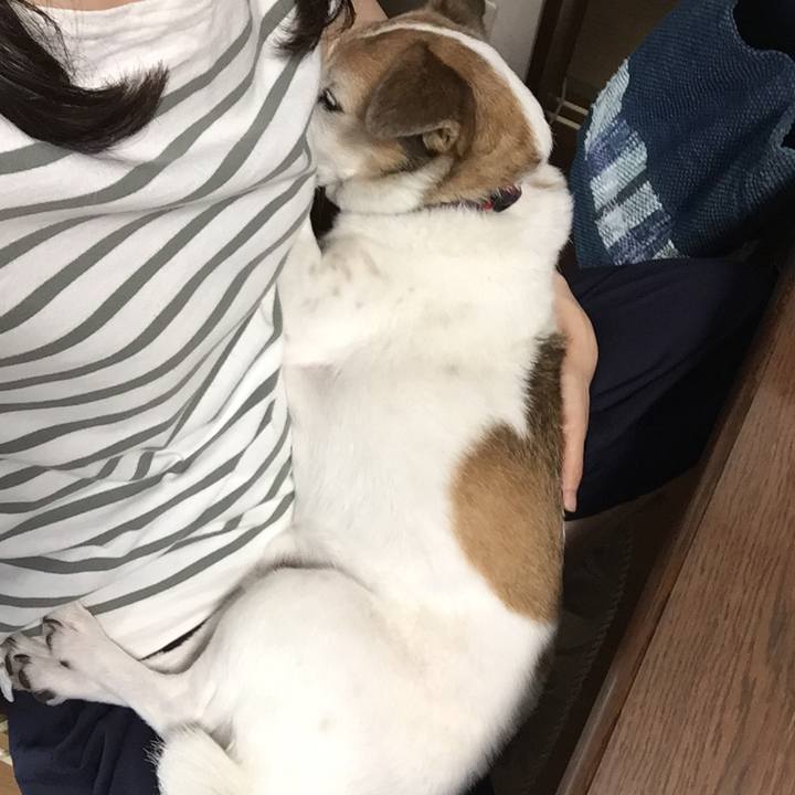 Fe56b81a c17f 4d87 b99e ef2221ee5407