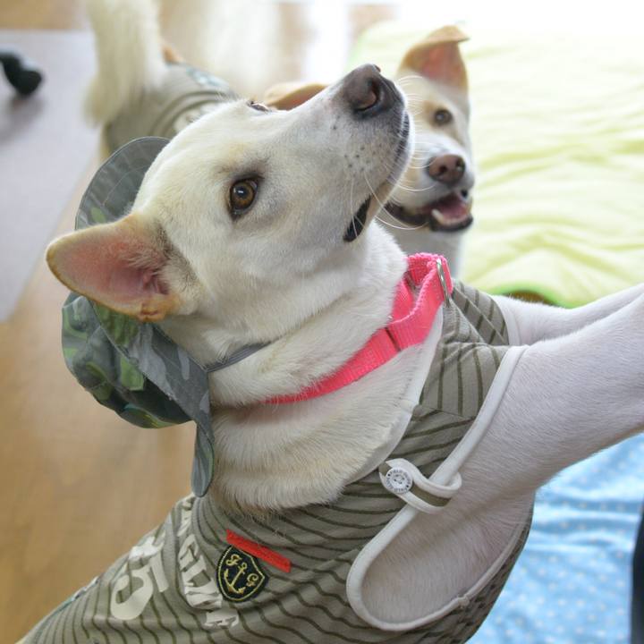 Fe5723d1 8a32 4da0 b1c1 d8d003b8e78b