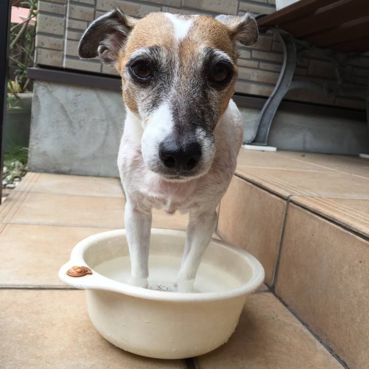 Fe5726dd 7602 4e59 8044 23ba2d184230