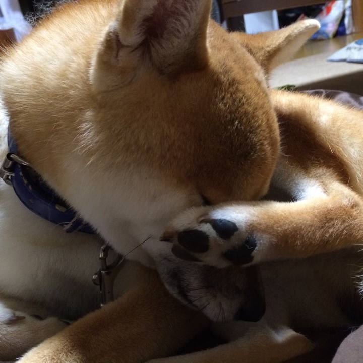 Fe578fbf cb0f 48d0 98d0 083b04b59b26