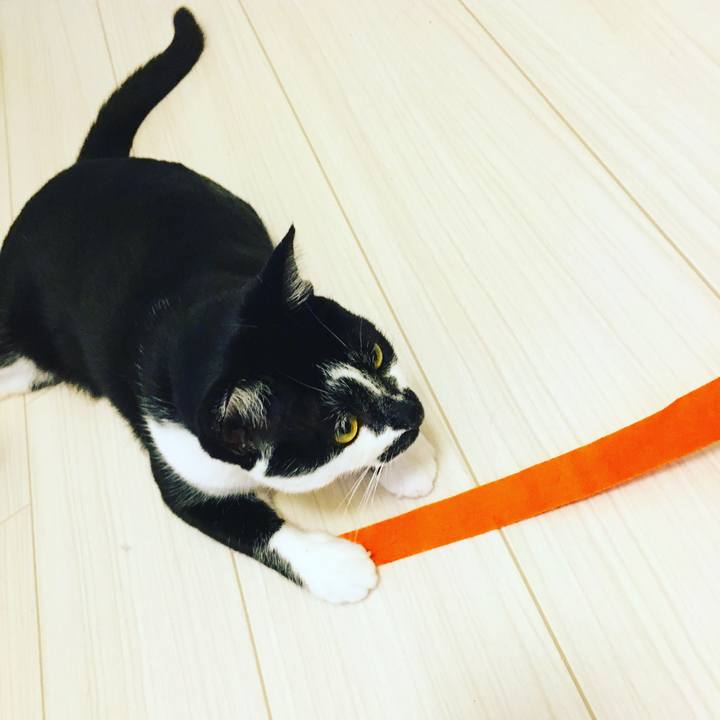 Fe57dd65 dab4 4293 ae28 2aaf290e3dfc