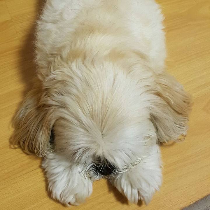 Fe5812b0 c933 4628 9ddb 0c4dbaea4685