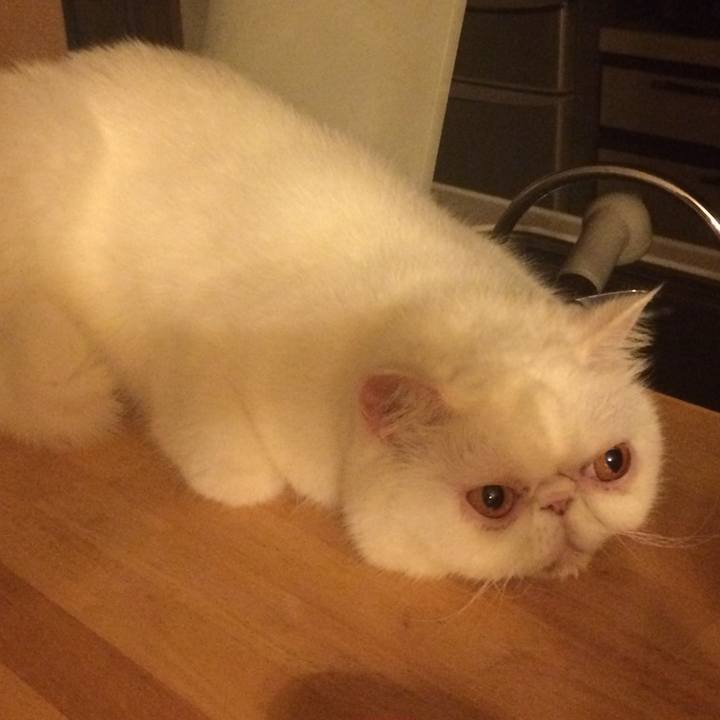 Fe5a1578 2ca7 422d 9472 d0f357a3f0f3