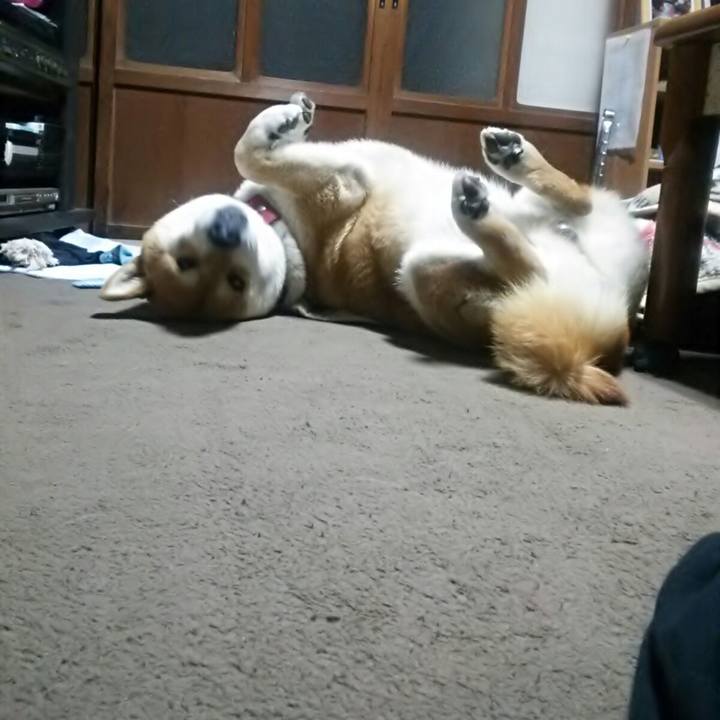 Fe5a2625 e2c0 499e b44f 00f153617893