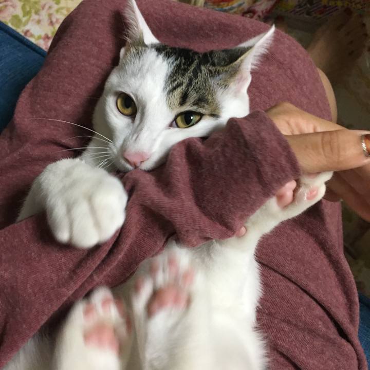 Fe5a6270 00df 4693 8864 34a63610e4f1