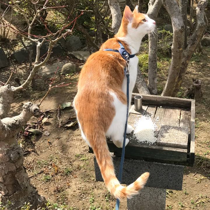 Fe5a9cd1 8776 4122 8232 beb22f85d83e