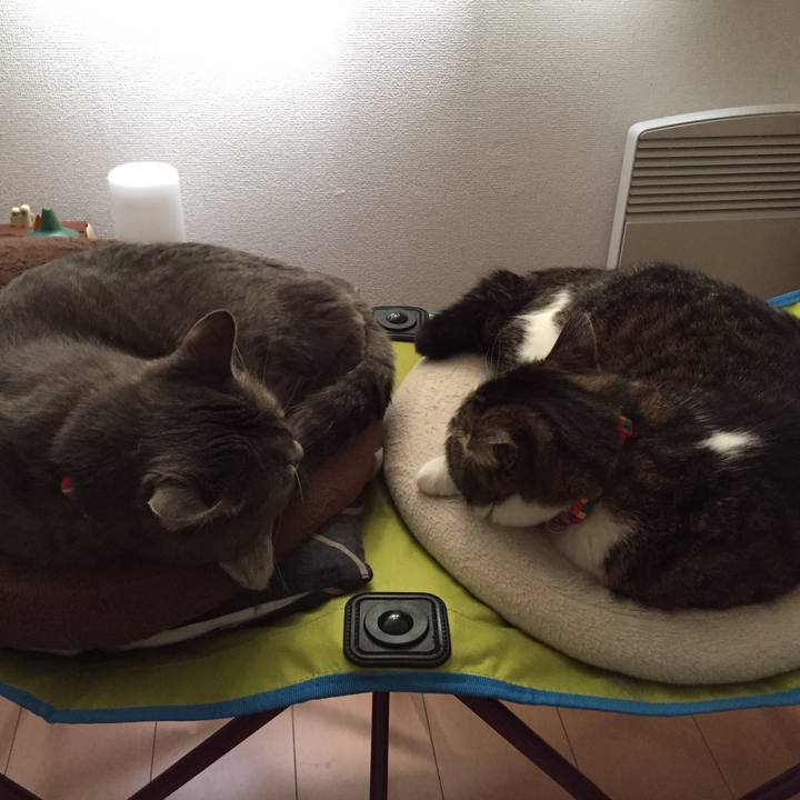 Fe5ad988 0f01 4e0d 8e3a 7901001b0ead